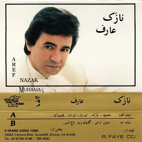 دانلود آلبوم کاست نازک عارف