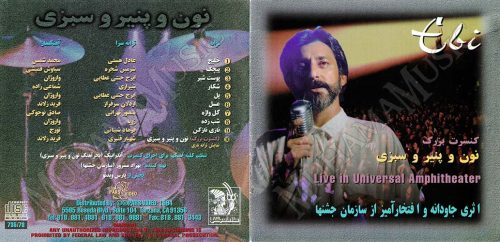 دانلود دی وی دی کنسرت تصویری نون و پنیر و سبزی ابی