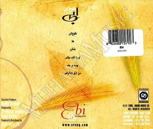 دانلود آلبوم طلوع کن - ابی