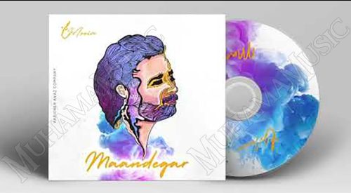 آلبوم ماندگار معین - Image 2