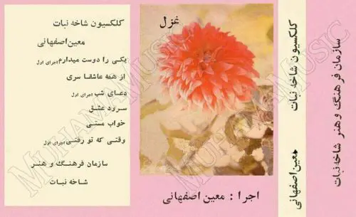 دانلود آلبوم غزل معین