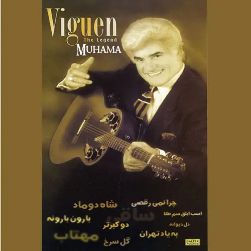 دانلود آلبوم 43 آهنگ طلایی ویگن