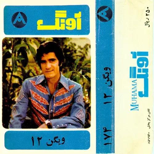 دانلود آلبوم ویگن 12 آونگ
